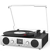 VinylsLink Record Player with Built-in Speakers, Belt-Driven Turntable Support 3-Speed, FM Radio ...