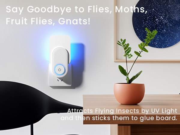 flying insect trap