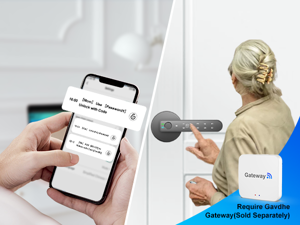 biometric indoor door knob black