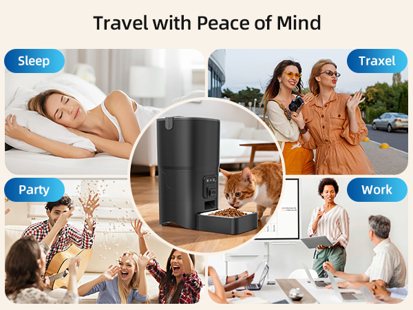 automatic cat feeder