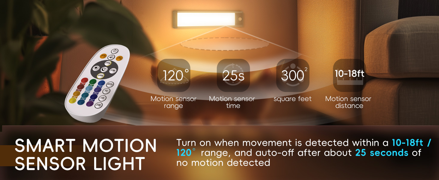 motion sensor