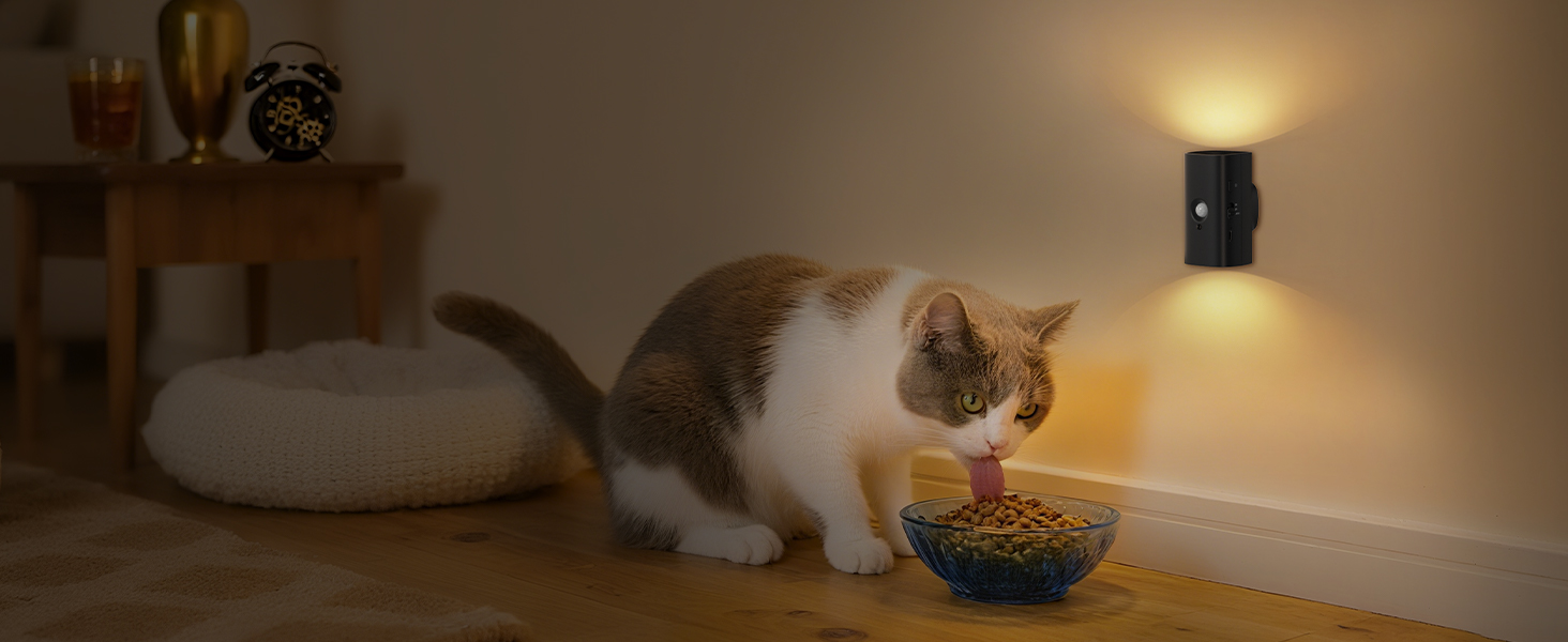 eye-friendly night light for pet