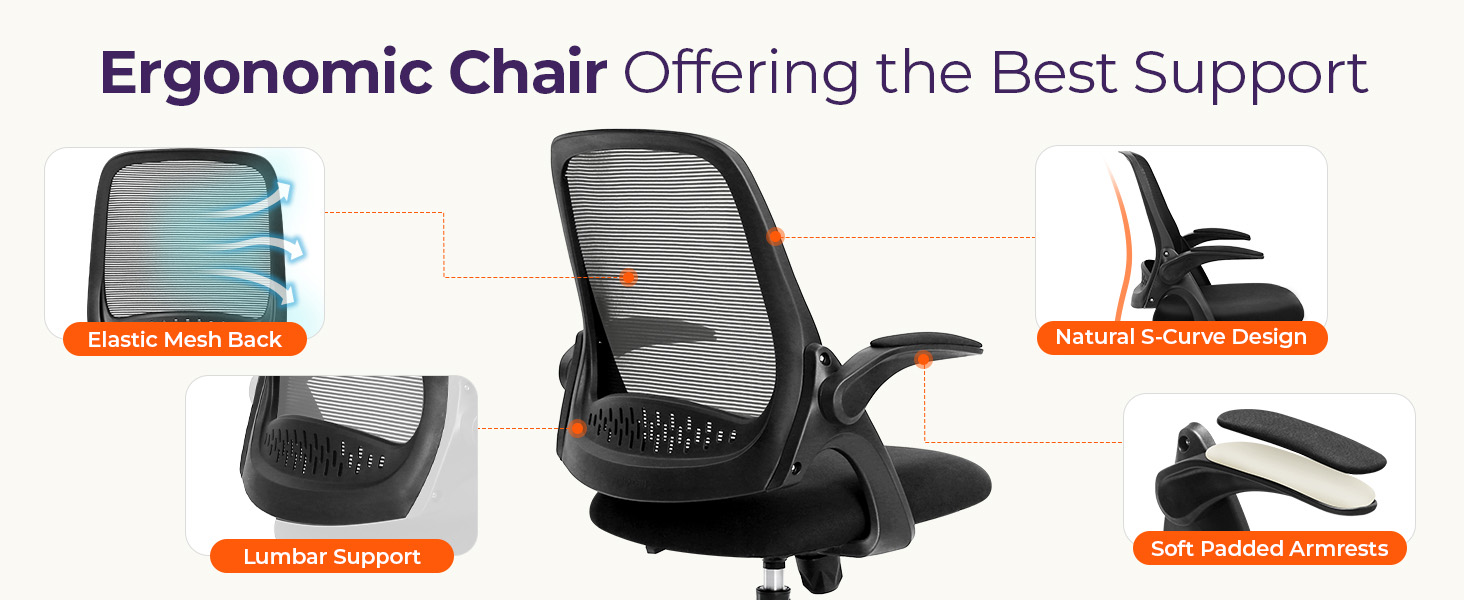 Ergonomic Chair with Comprehensive Support