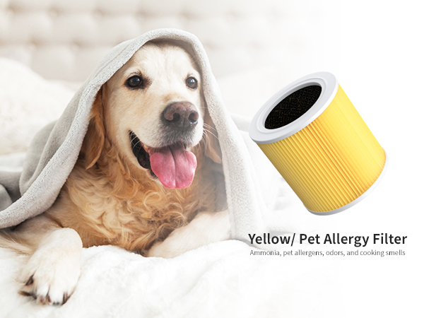 air purifiers for home large room pets