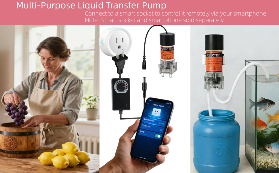 liquid transfer pump