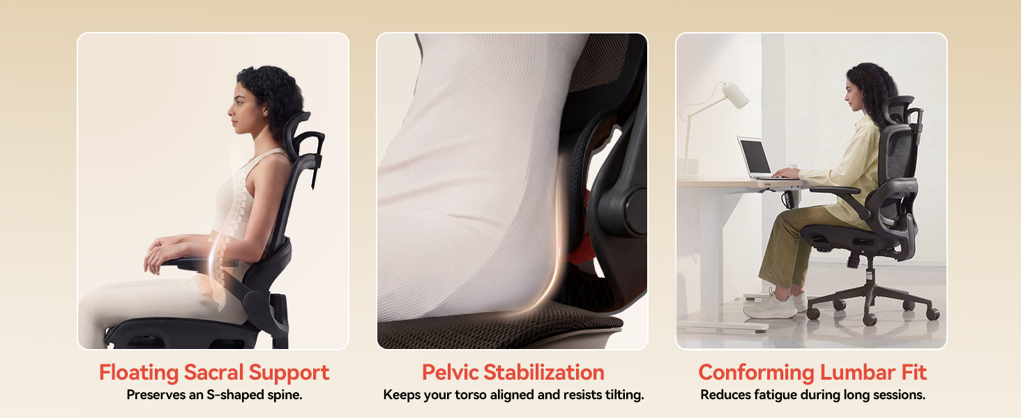 Ergonomic Chair