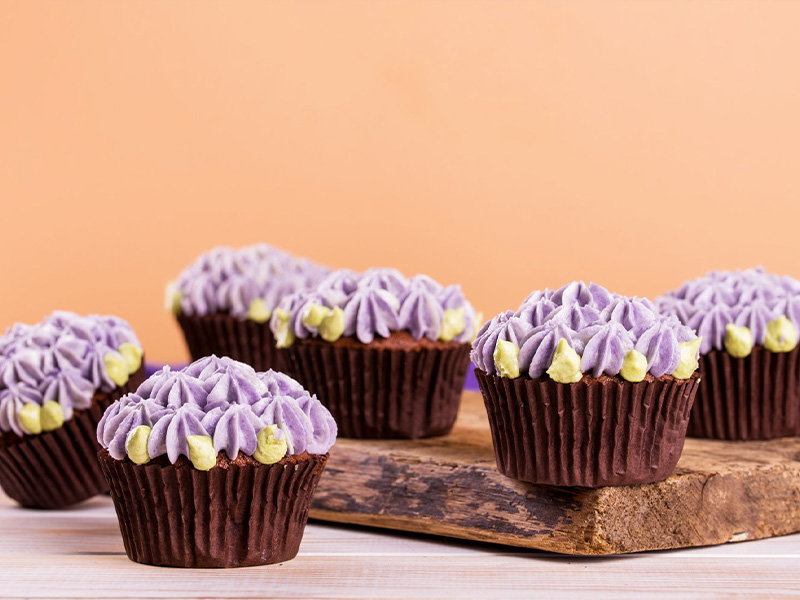 disposable piping bags and tips set