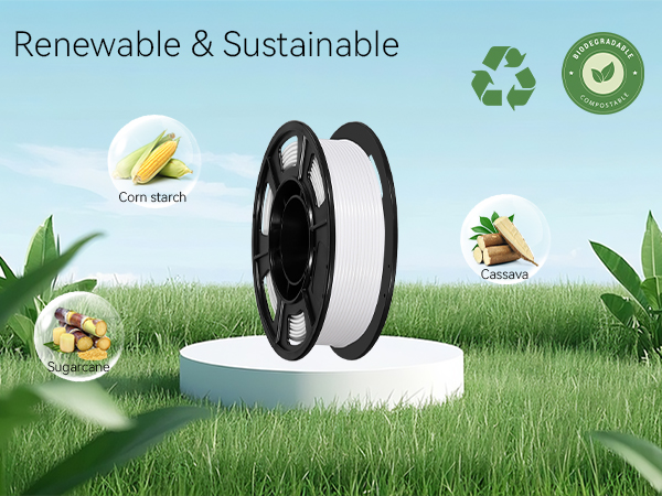 Renewable &amp;amp;amp; Sustainable