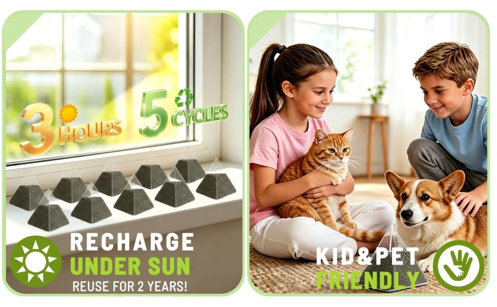 VORIX Refrigerator Odor Absorber