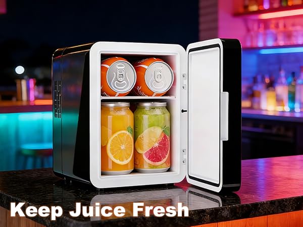mini fridge for skincare