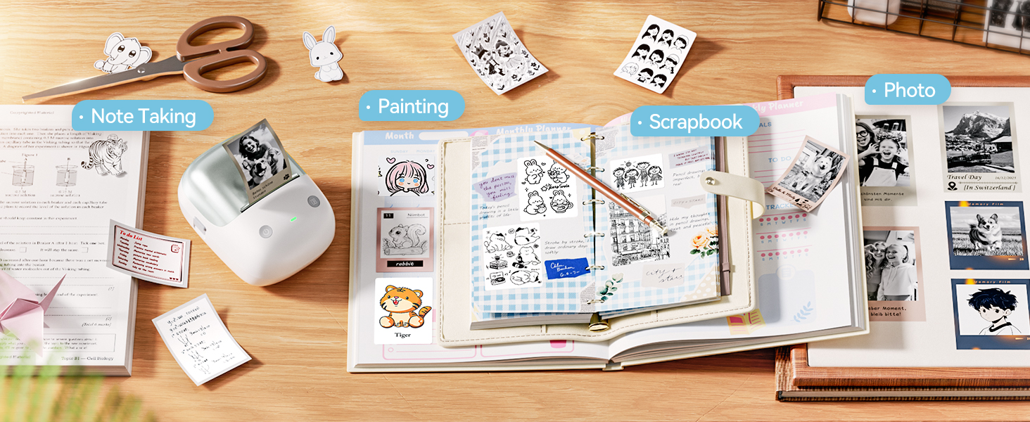 niimbot b2 pro for gift choice