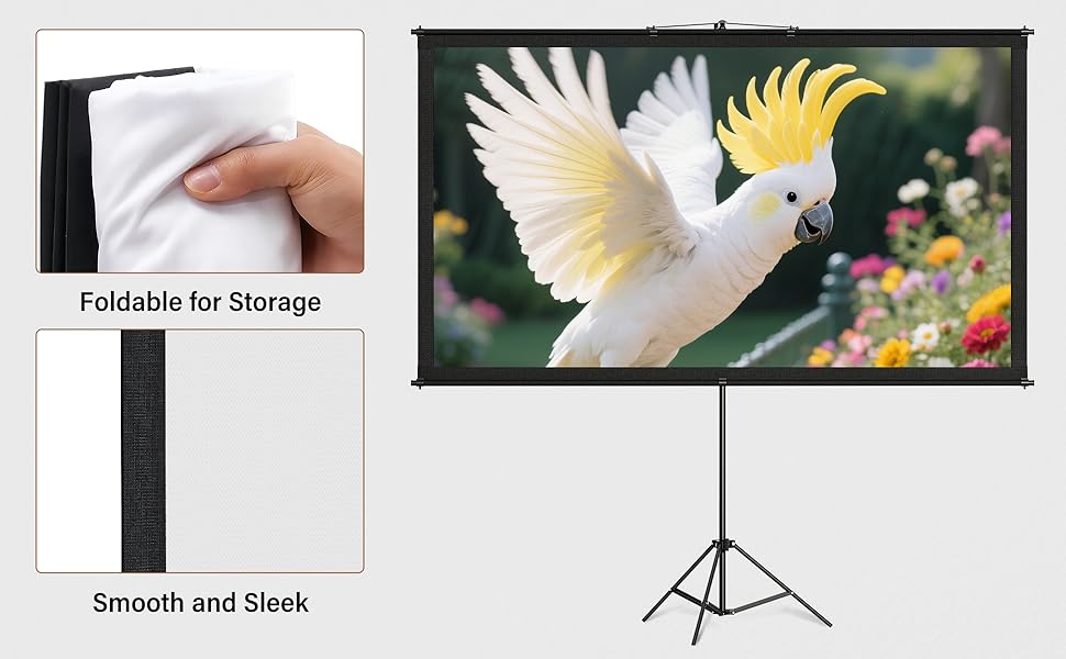 tripod screen