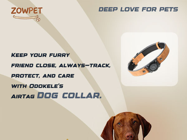 airtag dog collar