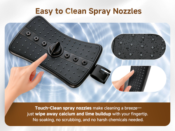 shower head with handheld