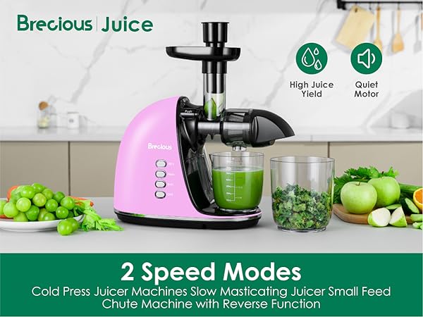 slow masticating juicer