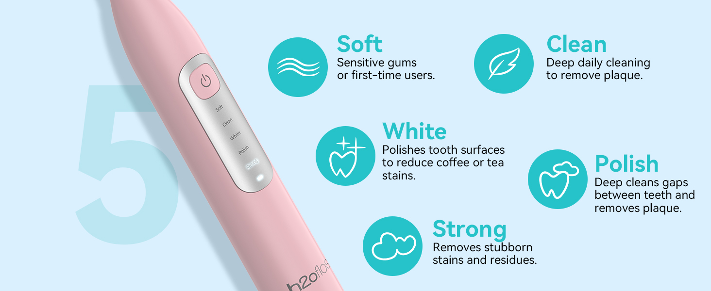 h2ofloss electric toothbrush and water flosser combo