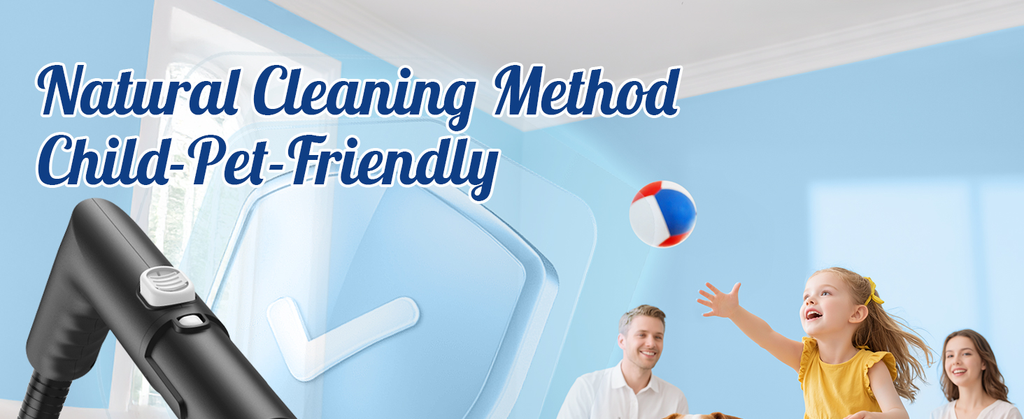 steam cleaner
