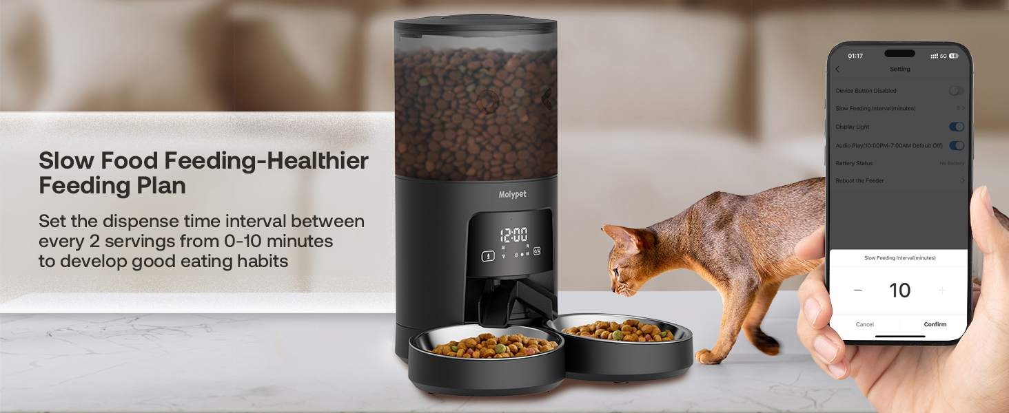 automatic cat food dispenser