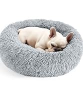 dog bed