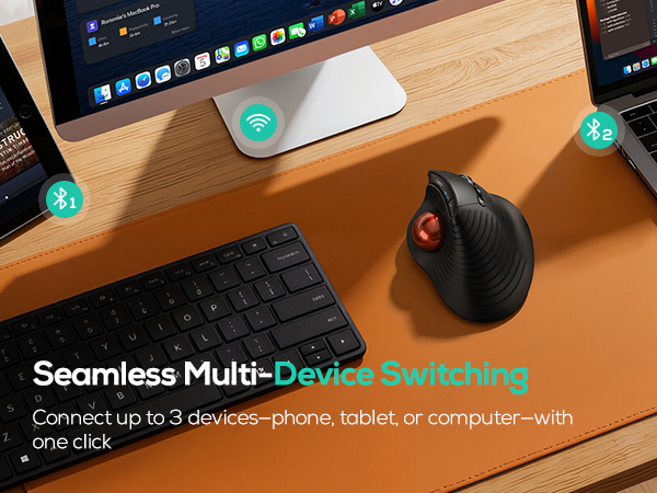 wireless mouse ergonomic