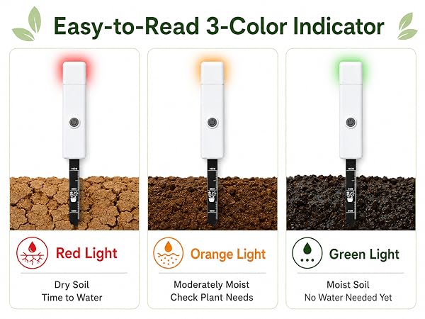 Easy-to-Read 3-Color Moisture Indicator
