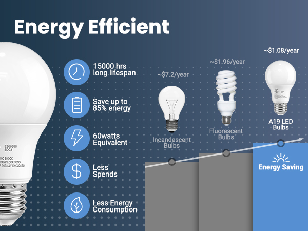 A19 led light bulb 5000K