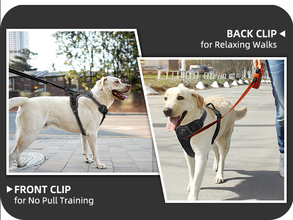 airtag dog harness integrated waterproof apple air tag holder dogs vest harnesses no-pull harness l