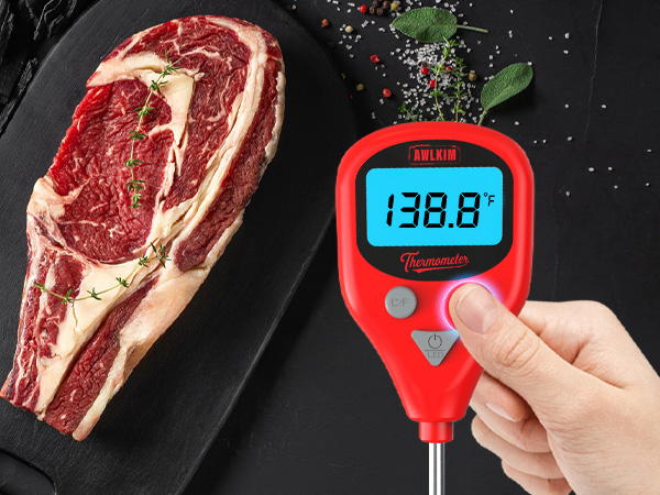 meat thermometer digital