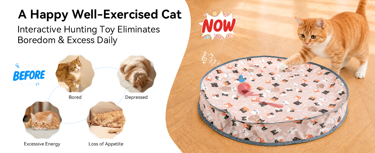 Auto smart cat ball toy