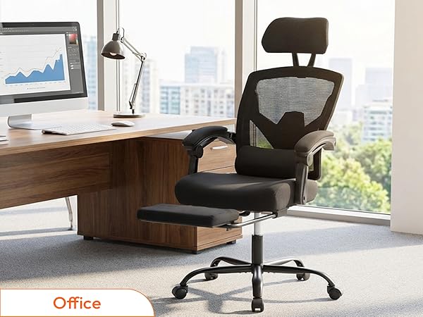 Computer Chair with Lumbar Support