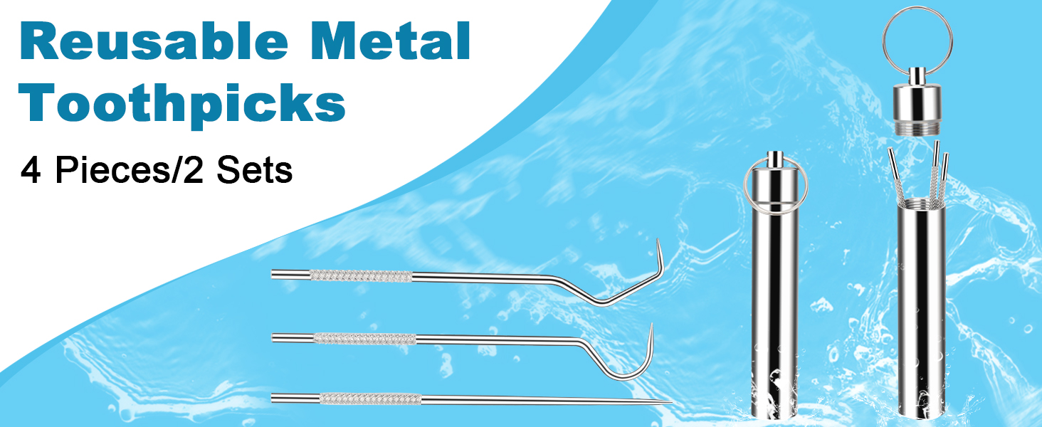 Metal Toothpicks Kit