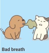 bad breath