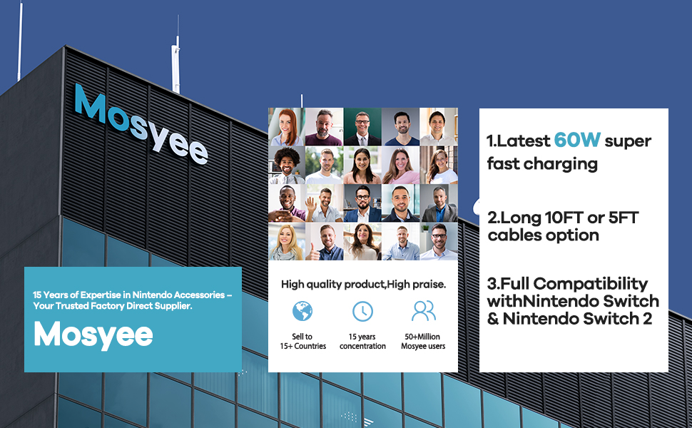 nintendo switch charger