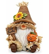 KnomeKo Thanksgiving Gnome with Pumpkin Fall Table Decor Gift | Thanksgiving Gnome with Scarecrow...