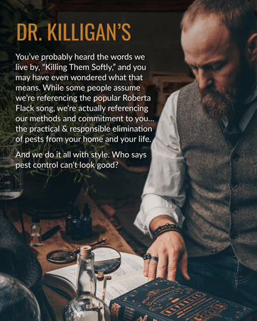 dr killigan finds the best pest control solutions so you can stay safe at home