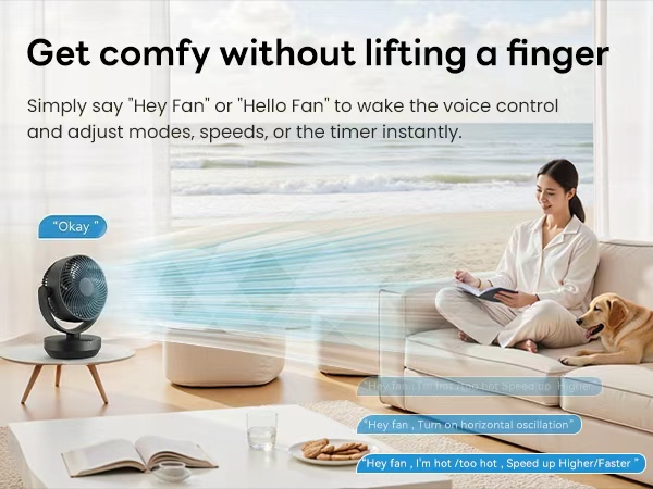 Voice Control