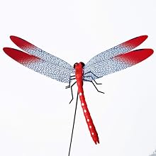 3D Dragonfly Clips