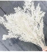 15 Pieces Dried White Italian Ruscus Eucalyptus - Real Preserved Ruscus Stem Branches, Real White...