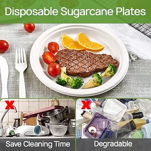 paper plates 9in