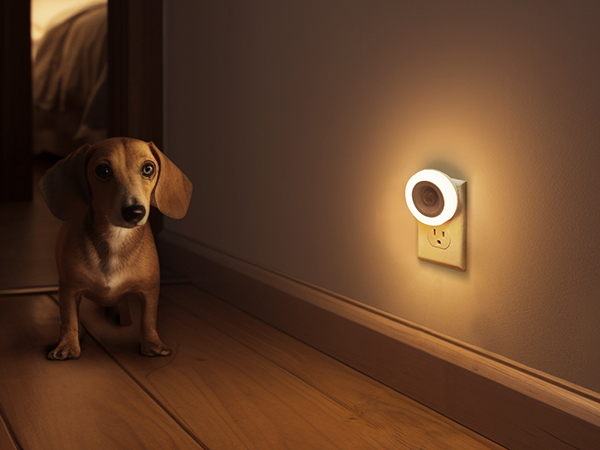 Pet Guiding Night Light