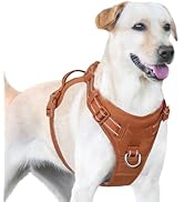 Sunraymascota No Pull Dog Harness, Reflective Puppy Vest for Small Medium Large Sized Dog(Carmel ...