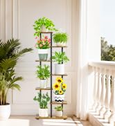 Plant Stand