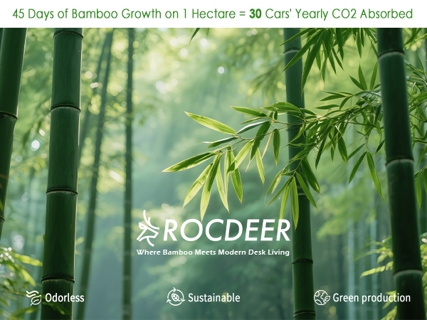 eco-friendly monitor stand riser in bamboo