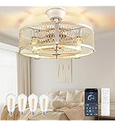 DLLT Caged Ceiling Fans with Lights: 20" Farmhouse Fandelier Ceiling Fan with Light and Remote Sm...