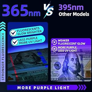365nm black light
