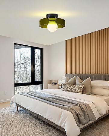 ceiling light fixture