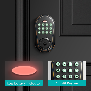 keyless entry door lock