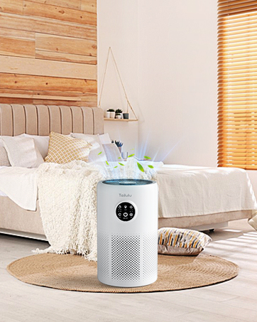 Air Purifier 10