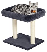 KinoTail Cat Tree with Large Top Perch Bed (19"×15.8"), Small Cat Tower with Scratching Post for ...