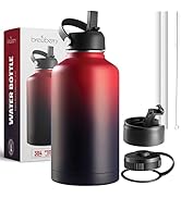 Brewberry Stainless Steel Sports Bottle and Travel Mug for Hot Cold Beverages, Wide Mouth, Double...